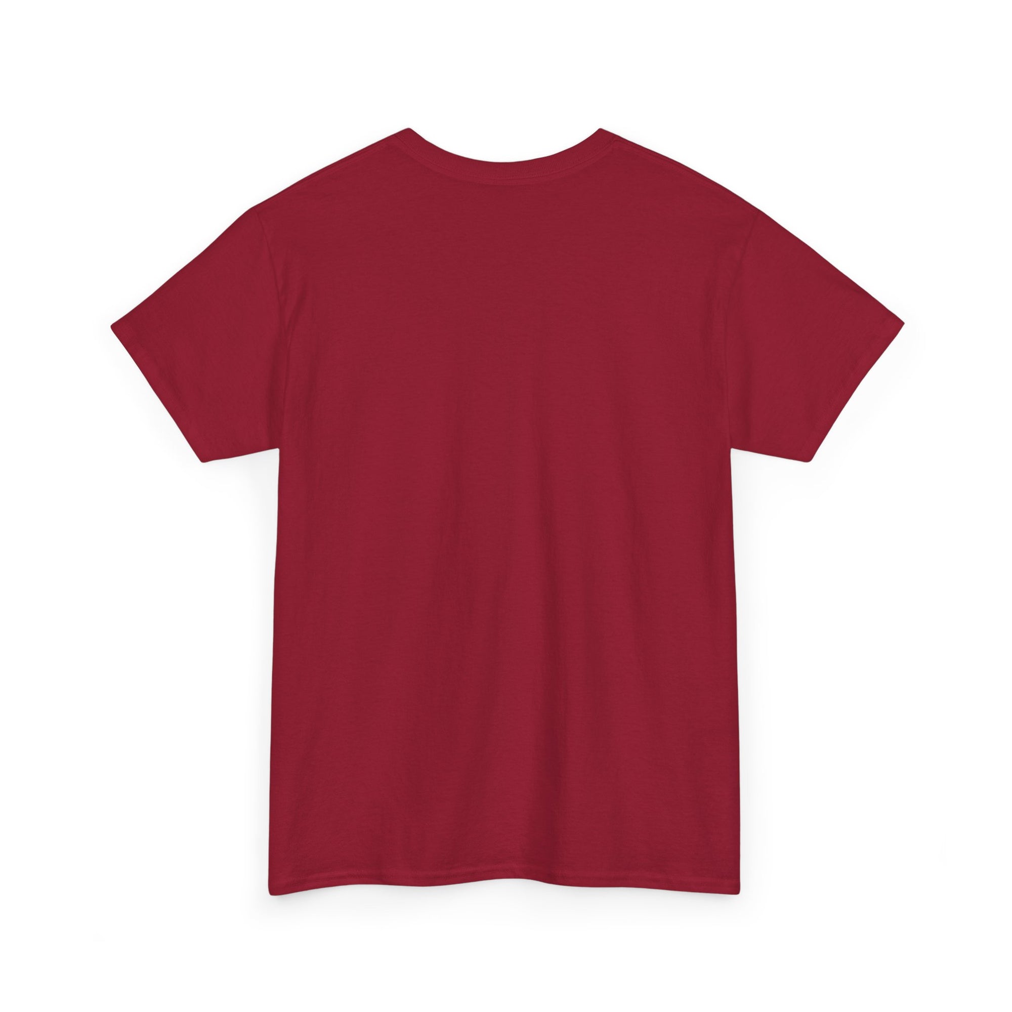 Vintage Astros Unisex Heavy Cotton Tee - Sports Graphic Shirt for Fans