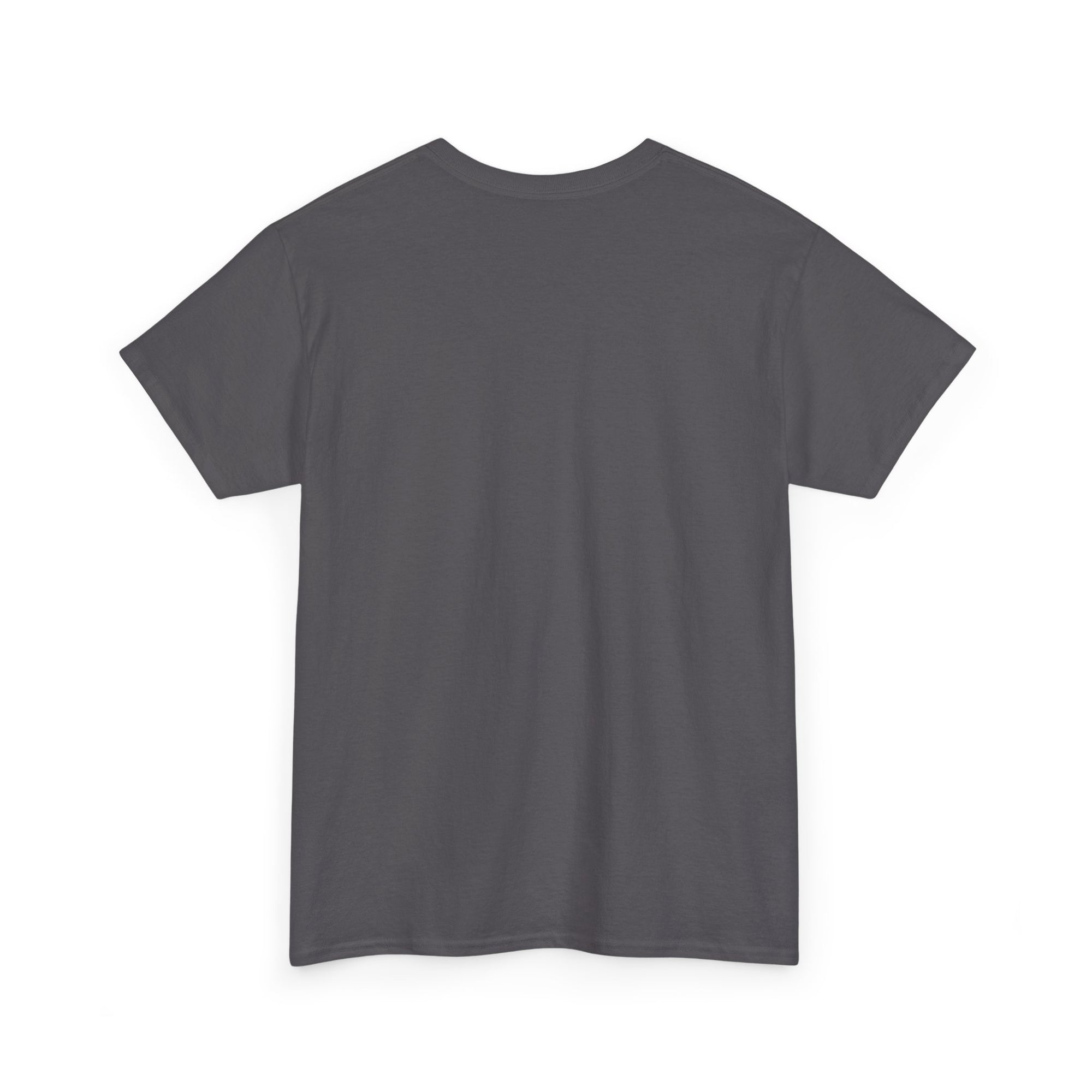 Vintage Astros Unisex Heavy Cotton Tee - Sports Graphic Shirt for Fans