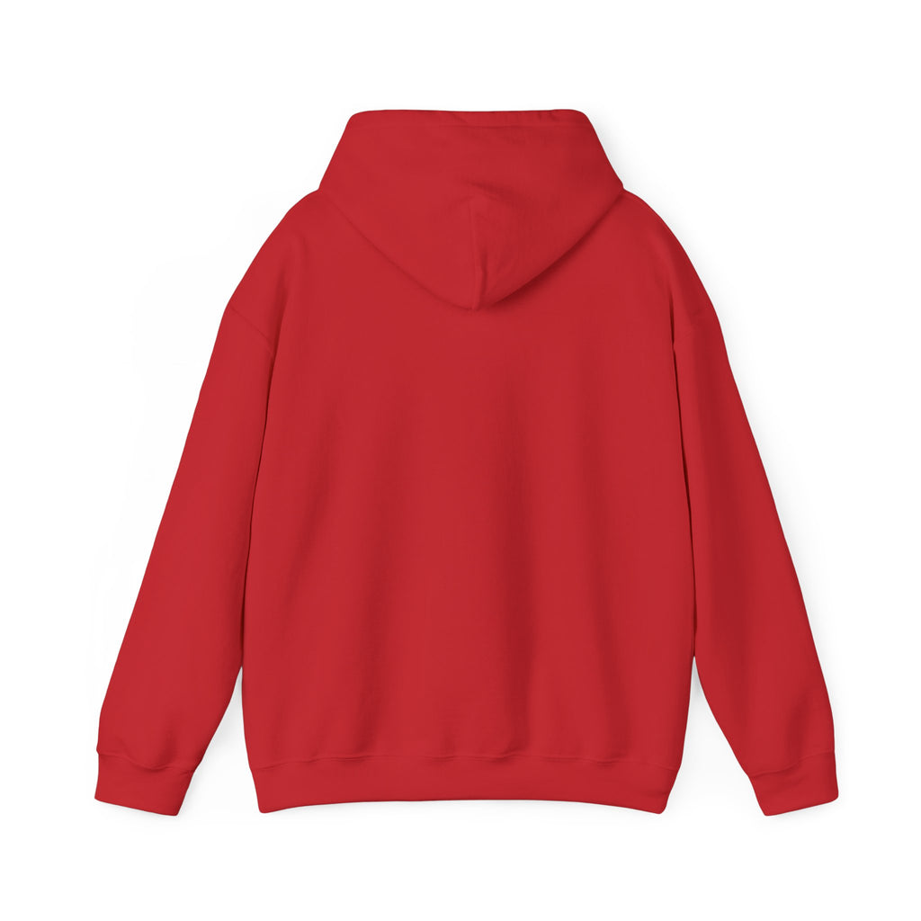 Football Is Life Unisex Hoodie – Defend This House Sweatshirt, Sports Apparel, Gift for Gamers, Cozy Everyday Wear