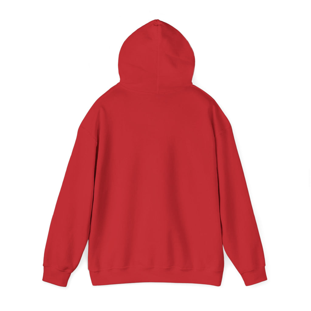 Football Is Life Unisex Hoodie – Defend This House Sweatshirt, Sports Apparel, Gift for Gamers, Cozy Everyday Wear