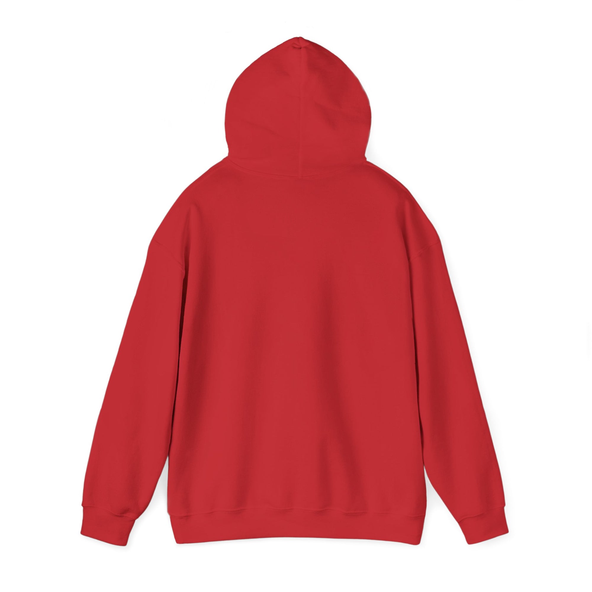 Football Is Life Unisex Hoodie – Defend This House Sweatshirt, Sports Apparel, Gift for Gamers, Cozy Everyday Wear