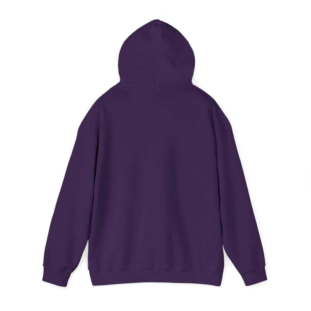 Make 'Em Believe Unisex Hoodie | Kate Wild for President | Election Day Apparel, Political Statement Wear, Gift for Supporters, Cozy [...]