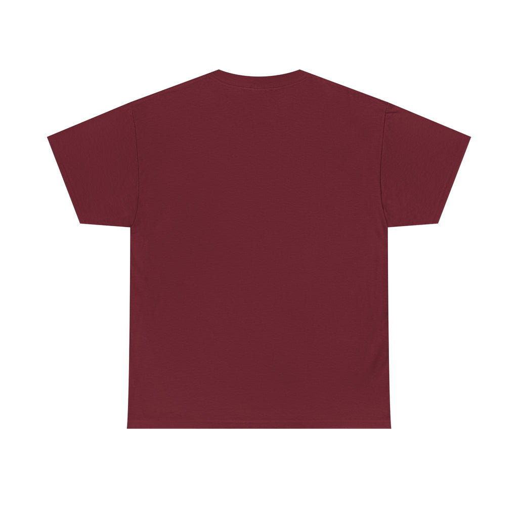 Vintage Astros Unisex Heavy Cotton Tee - Sports Graphic Shirt for Fans