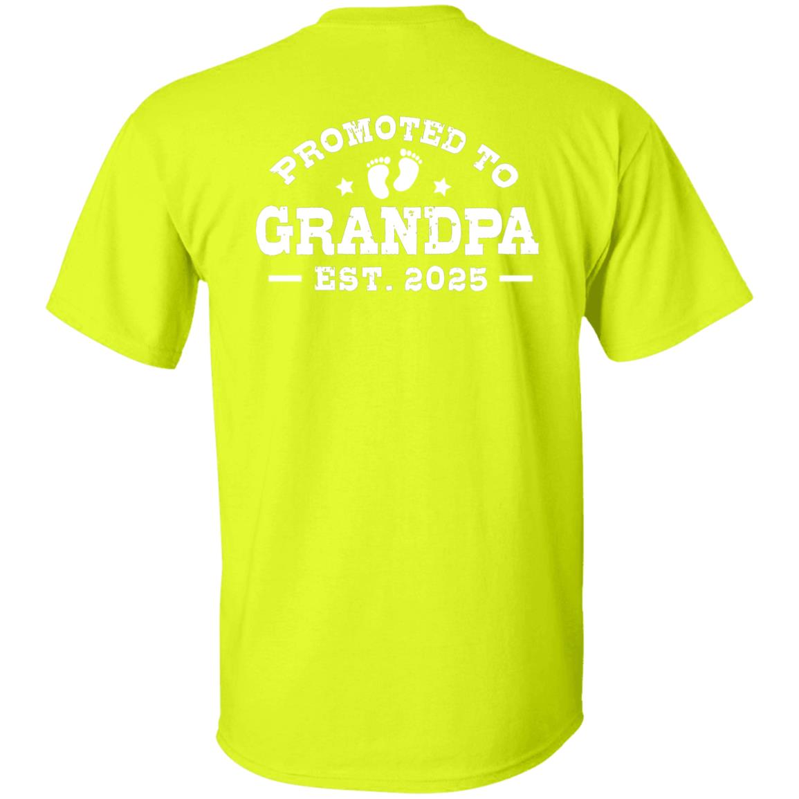 p706 - Promoted to Grandpa est. 2025 (vintage) - D