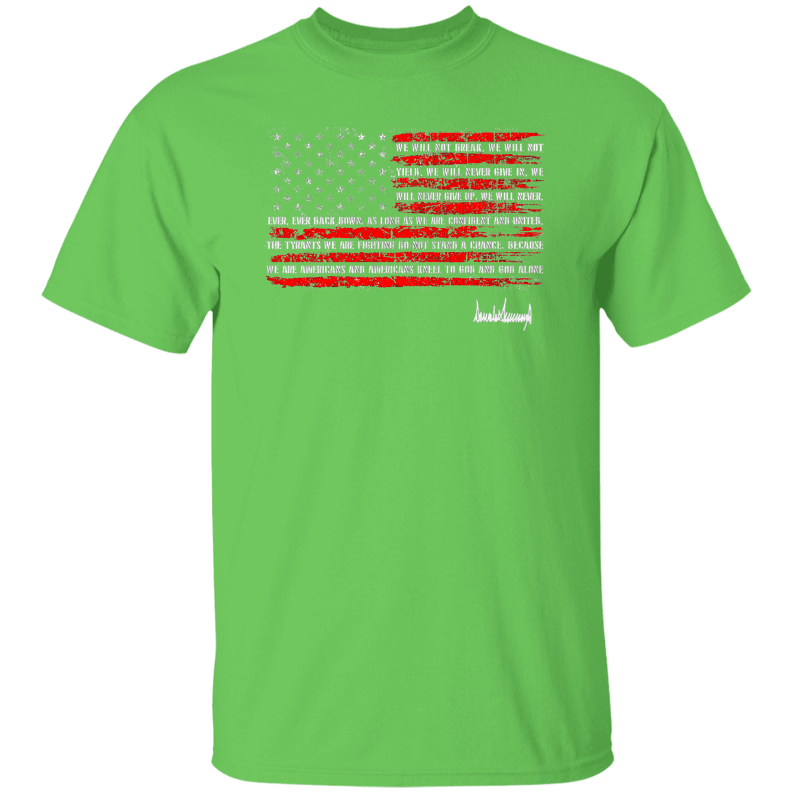 G500 5.3 oz. T-Shirt
