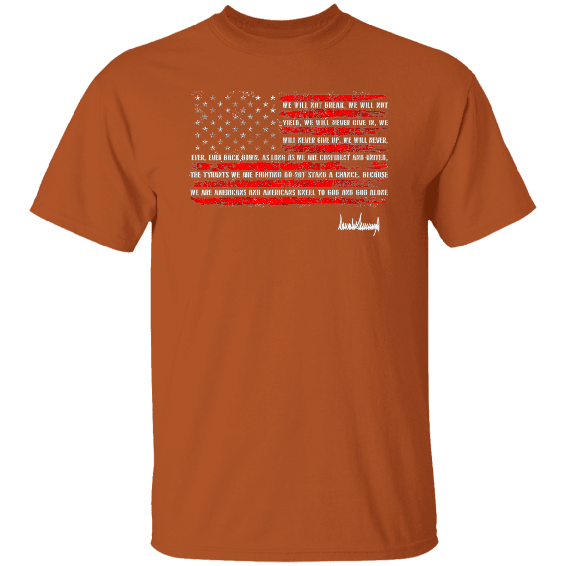G500 5.3 oz. T-Shirt