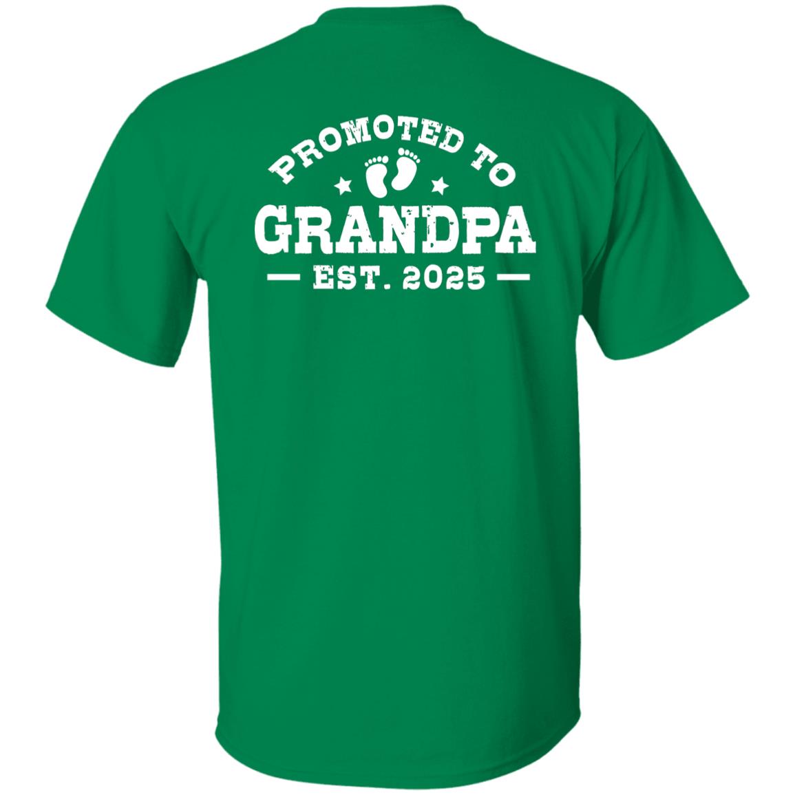 p706 - Promoted to Grandpa est. 2025 (vintage) - D
