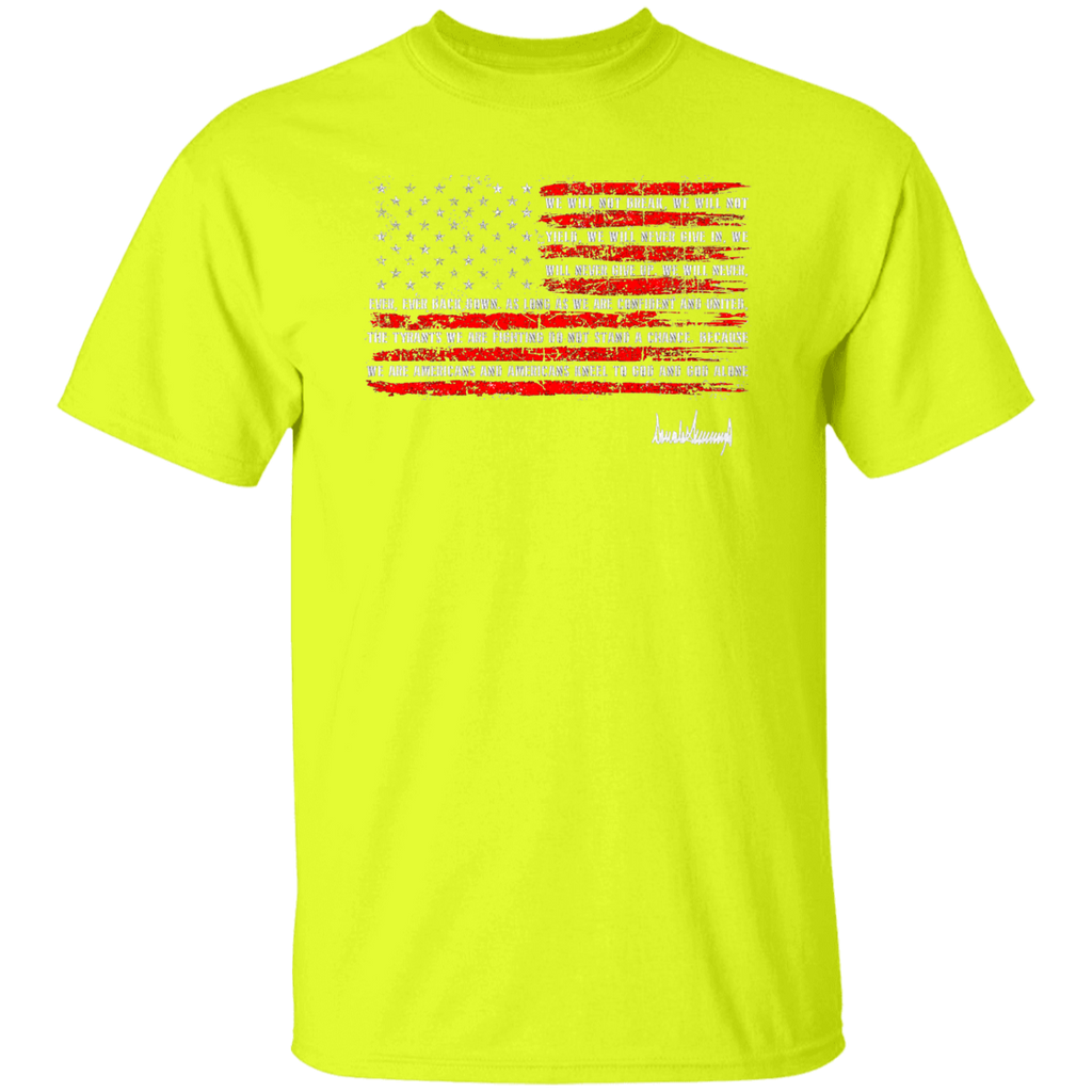G500 5.3 oz. T-Shirt