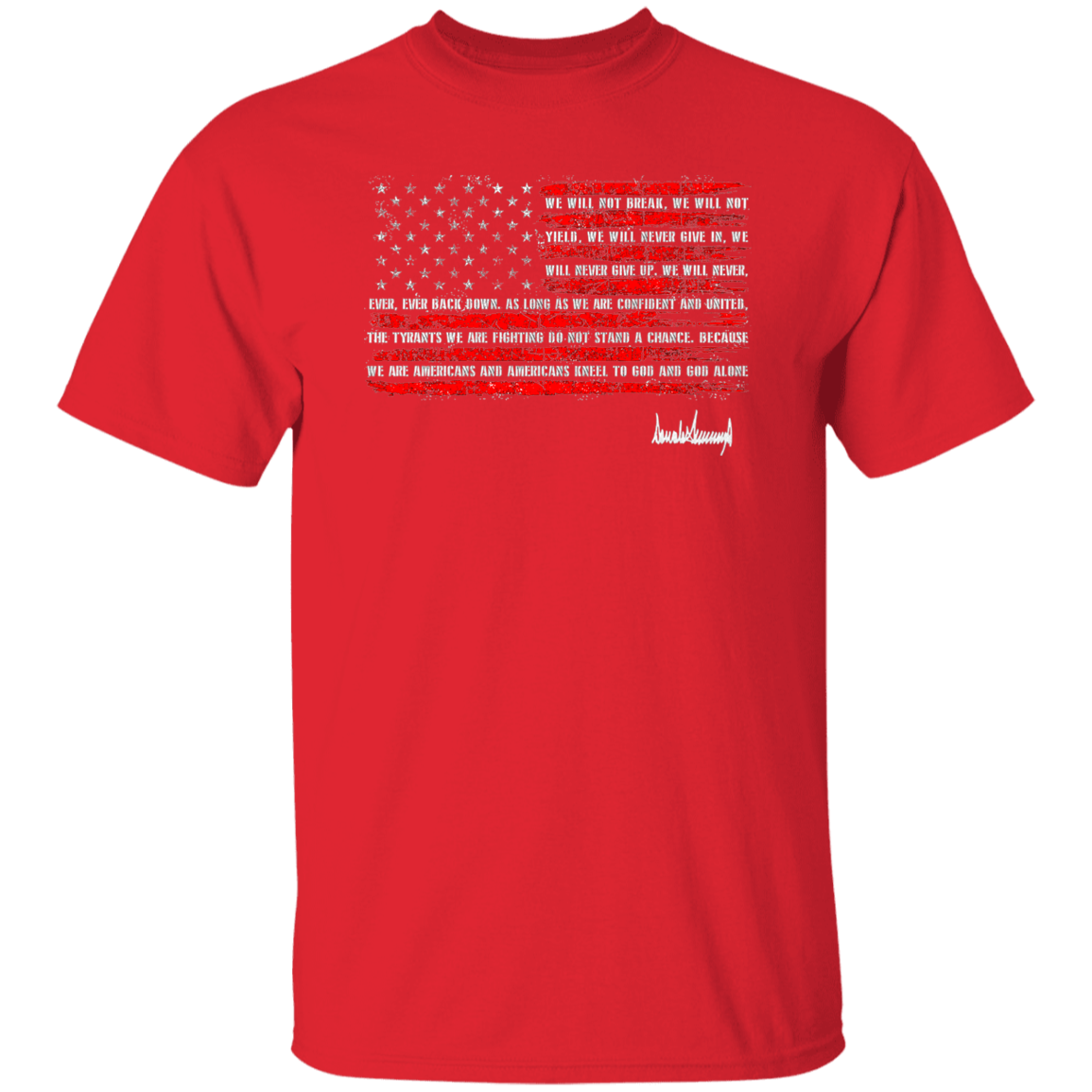 G500 5.3 oz. T-Shirt