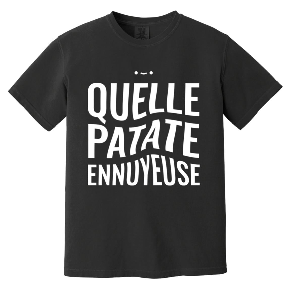 CC1717 Heavyweight Garment-Dyed T-Shirt
