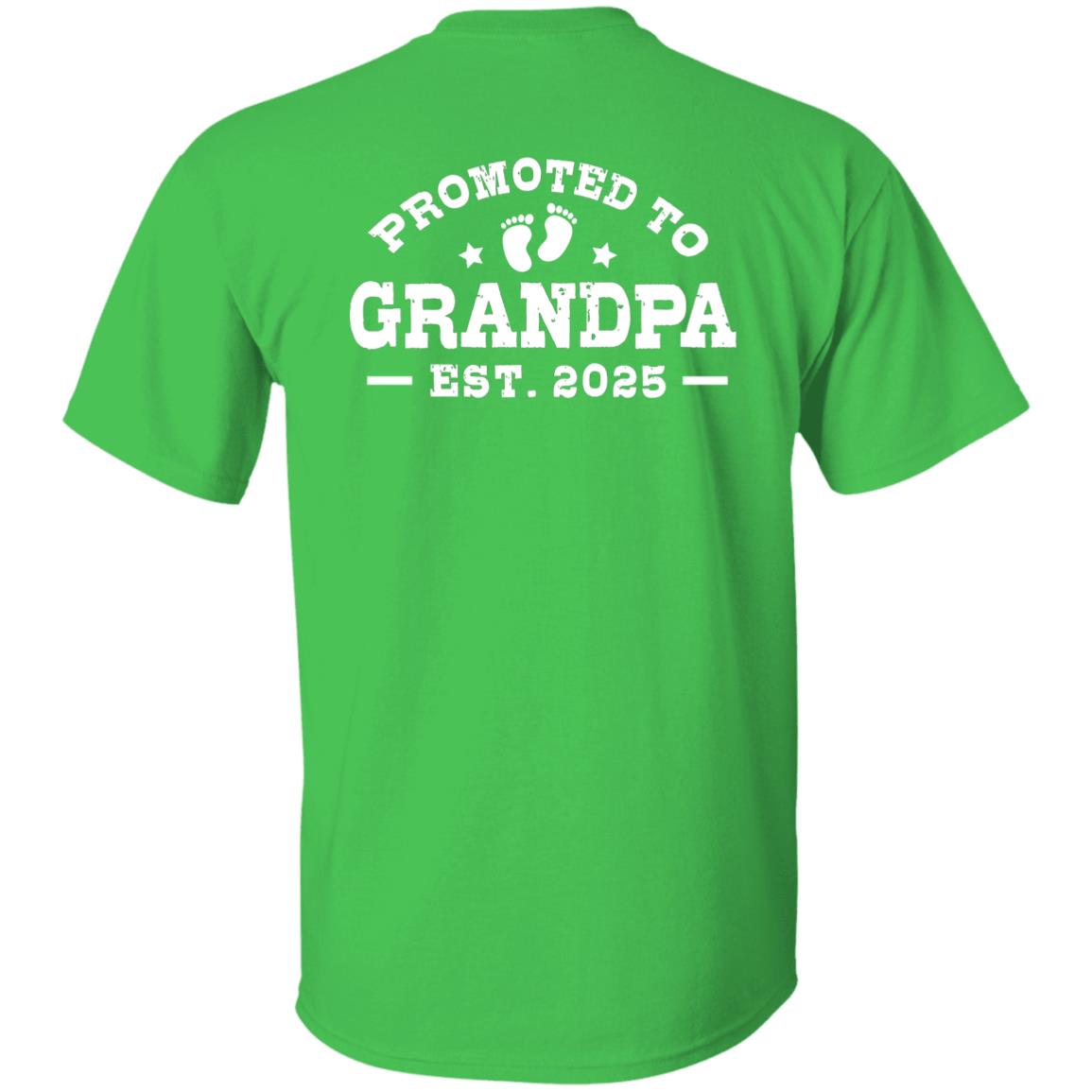 p706 - Promoted to Grandpa est. 2025 (vintage) - D