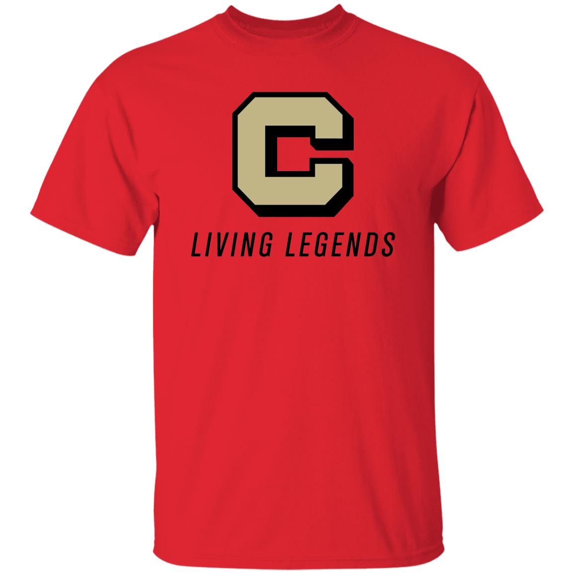 G500 5.3 oz. T-Shirt