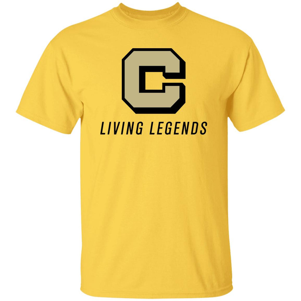 G500 5.3 oz. T-Shirt