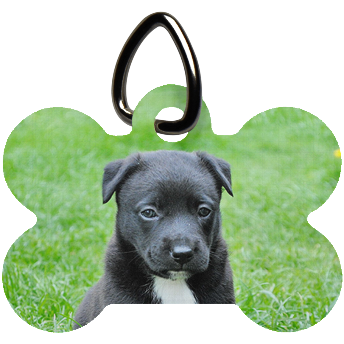 Cute Puppy Dog Bone Pet Tag