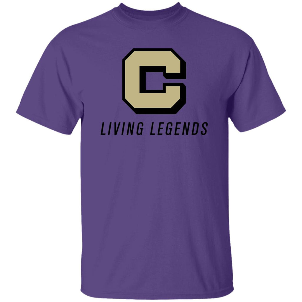G500 5.3 oz. T-Shirt