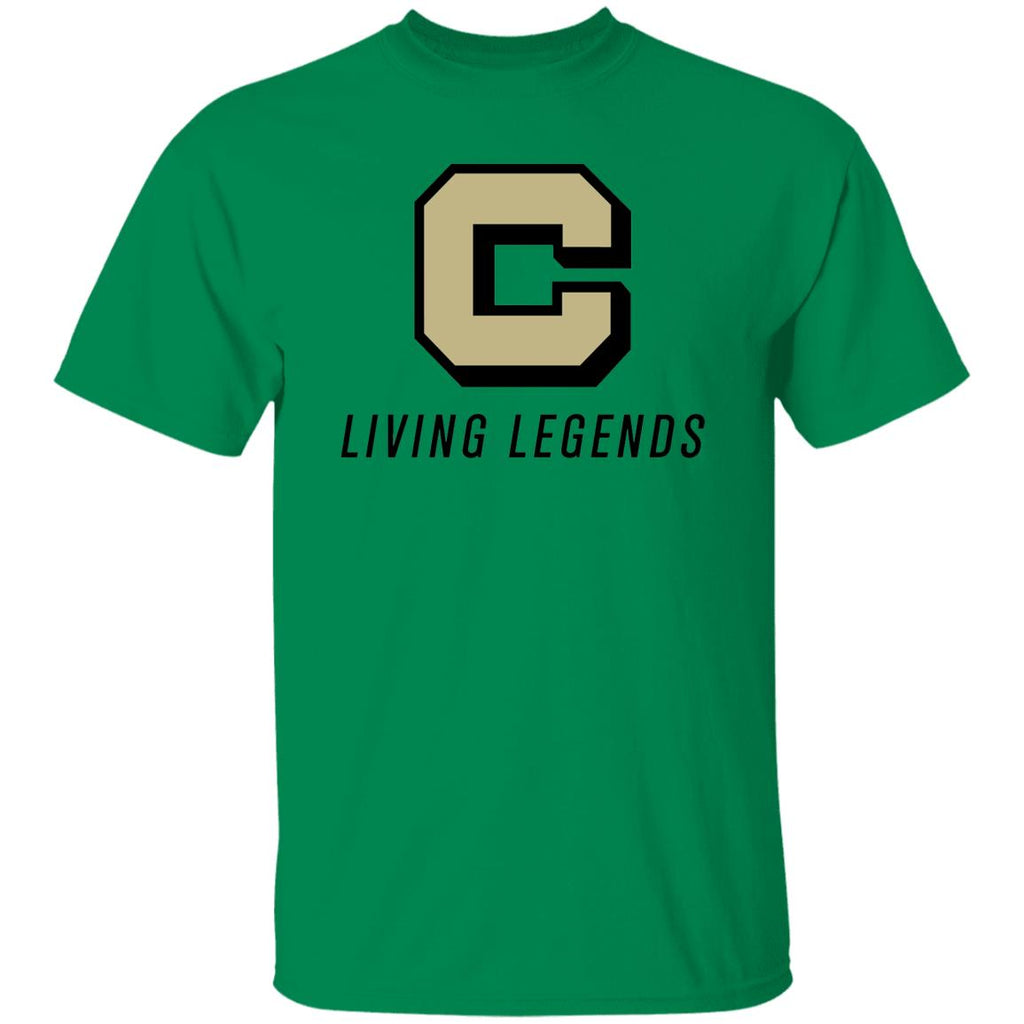 G500 5.3 oz. T-Shirt