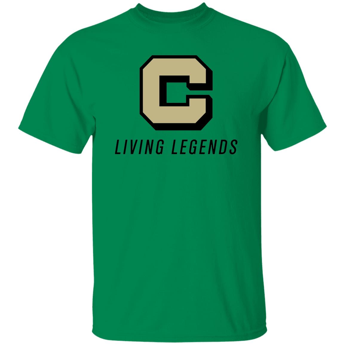G500 5.3 oz. T-Shirt