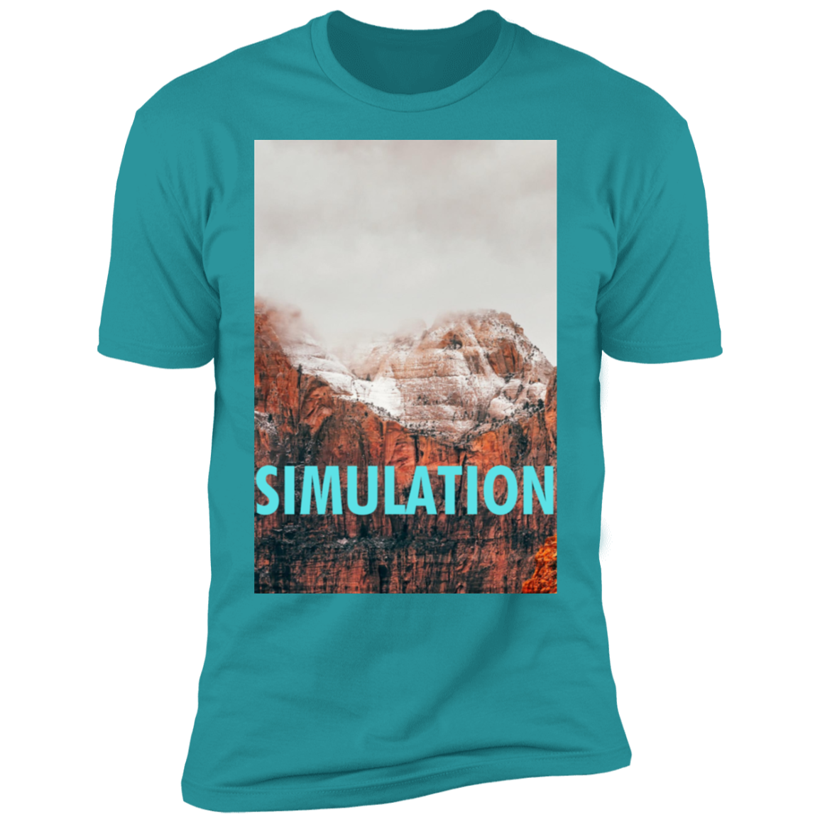 SIMULATION