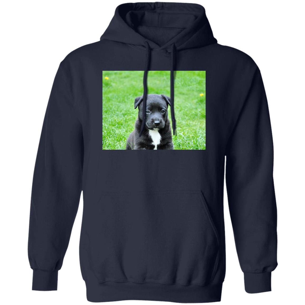California Fleece Pullover Hoodie