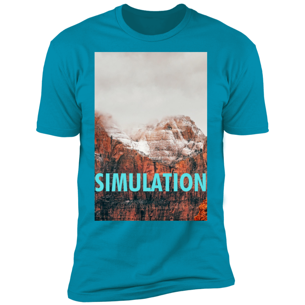 SIMULATION
