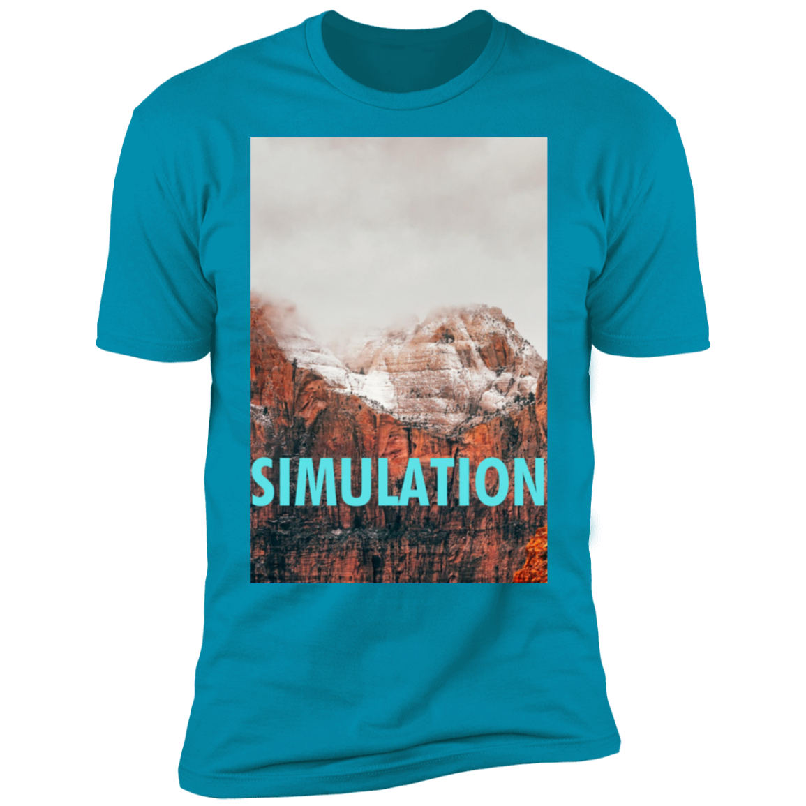 SIMULATION