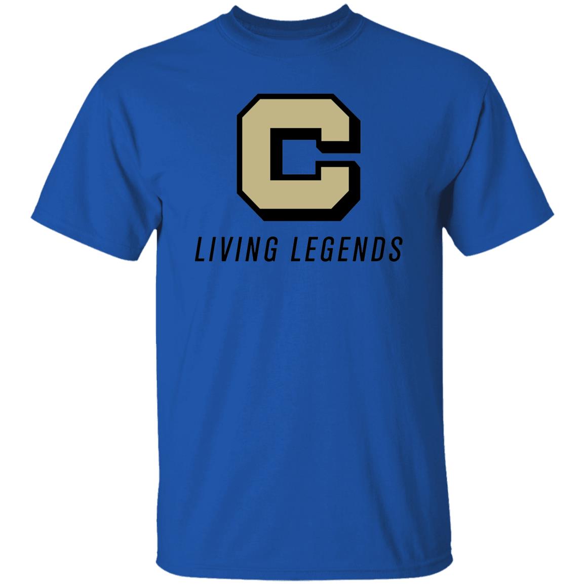 G500 5.3 oz. T-Shirt