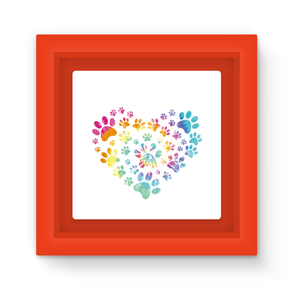 Magnet Frame